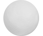 8100808a.jpg