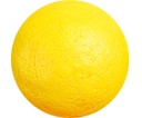 8100810a.jpg