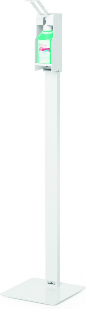 8556608a.jpg
