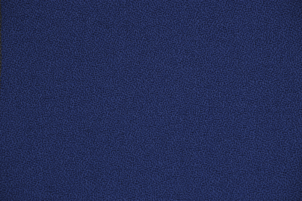 2469141a.jpg