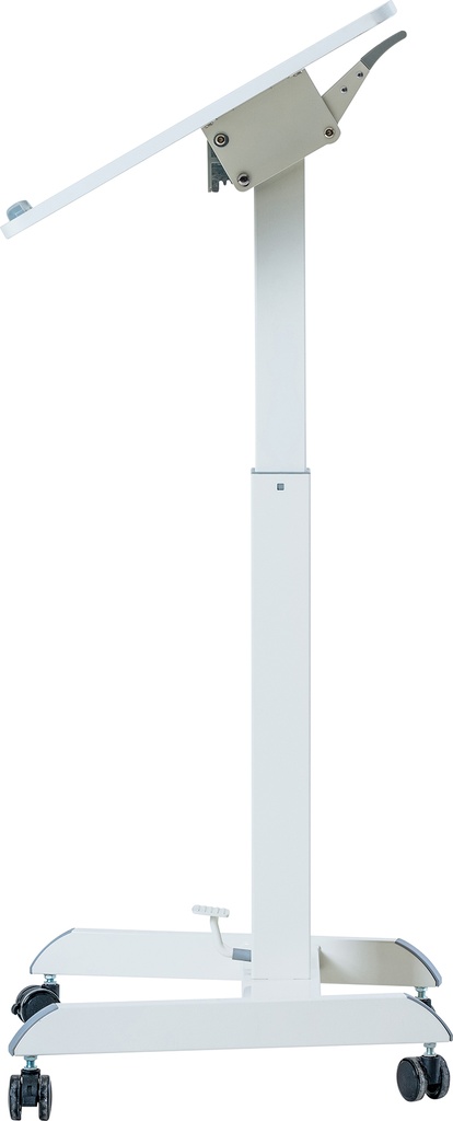8556159a.jpg
