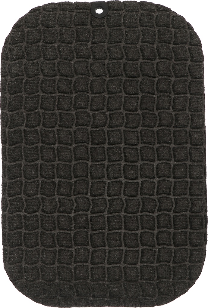 8552504a.jpg