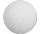8100283a.jpg