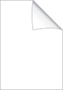 8300508a.jpg