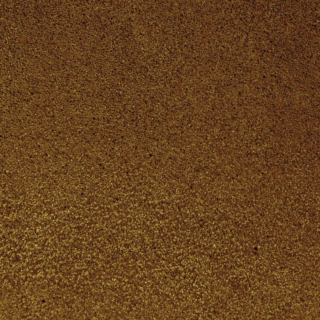 8301016a2.jpg