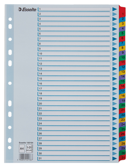 Register Esselte Mylar A4 1-31