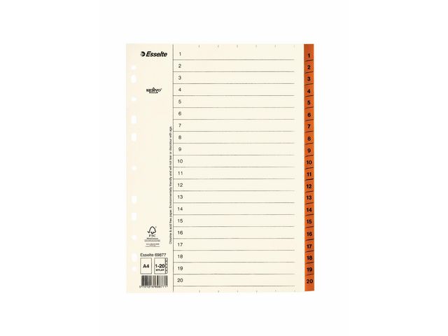 [W6207559] Pappregister Servo A4 1-20 brun flik